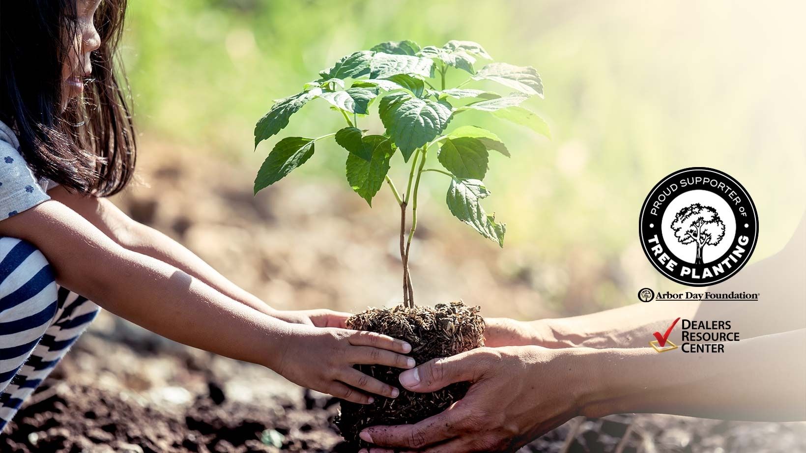 DRC Joins the Arbor Day Foundation’s Time for Trees™ Initiative 2021